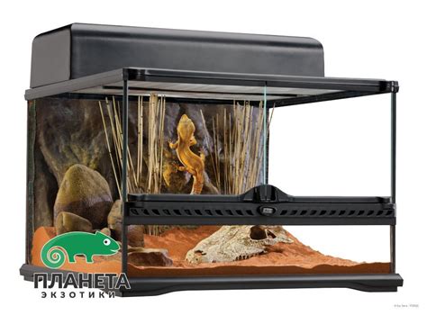 Вертикальные террариумы купить в зоомагазине Планета Экзотики