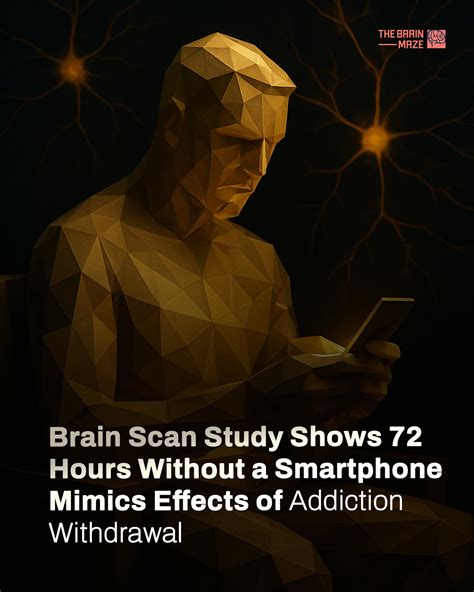 The Brain - A recent study from Heidelberg University and the