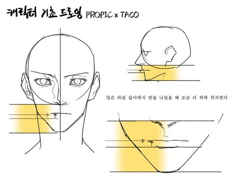 Pin By Harlynxnar Hyskoa On Proportions Drawing Tips Body Drawing