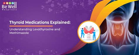 Thyroid Medications Explained Understanding Levothyroxine And Methimazole