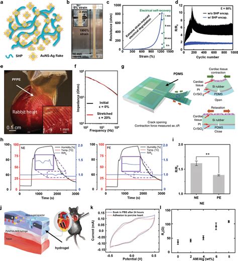 Encapsulation For Stretchable Implantable Bioelectronics A Schematic