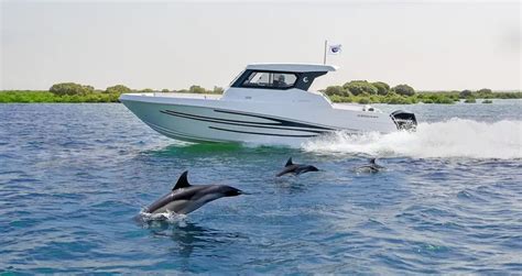 Dolphin Watching Muscat Best Dolphin Tour Operators In Muscat