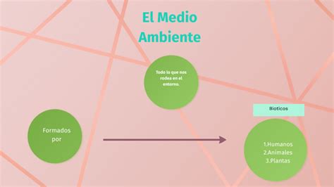 El Medio Ambiente By Sonia Kirik On Prezi