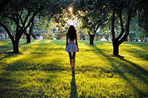 Wallpaper Sunlight Trees Women Model Looking Away Nature