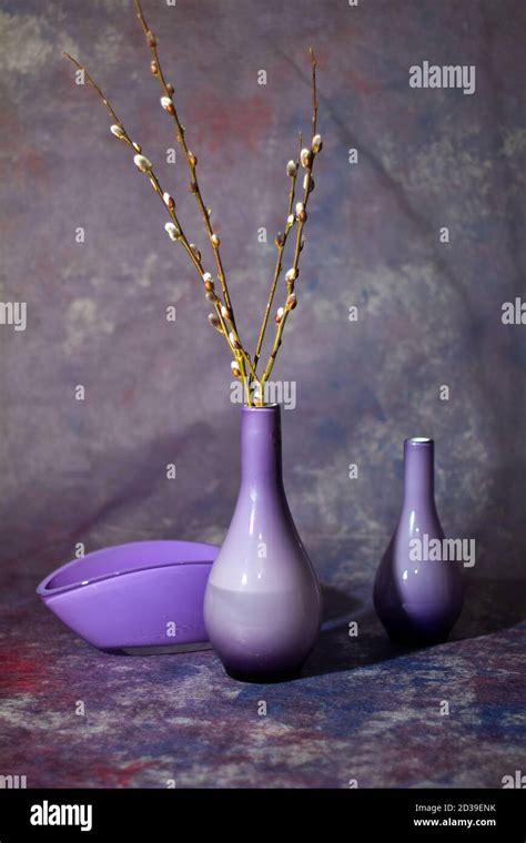 Pussy Willow Branches In Purple Decorative Vases Stock Photo Alamy