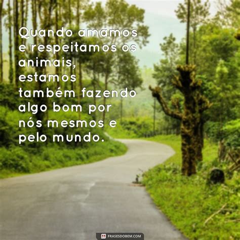 Amor Aos Animais Frases - Descubra as mais belas frases de amor aos animais no Tumblr - Frases do Bem