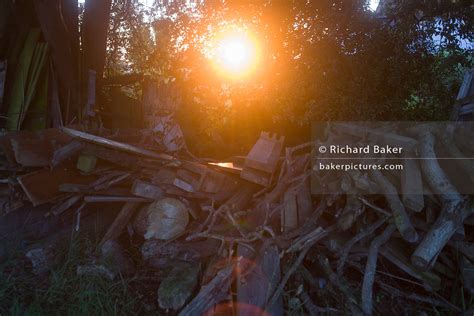 UK Thorrington Wood Pile On An English Farm Richard Baker Photography