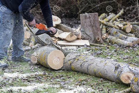 Man With Chainsaw Cutting The Tree Stock Photo Image Of Construction