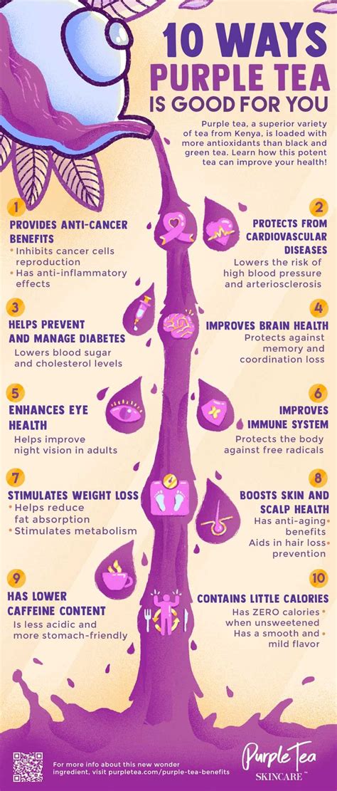 12 Health Benefits Of Purple Tea INFOGRAPHIC Purple Tea Blog Tea