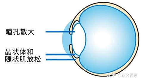 散瞳 知乎