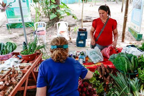 Feira Org Nica No Parque Adahil Barreto Chega A Edi O