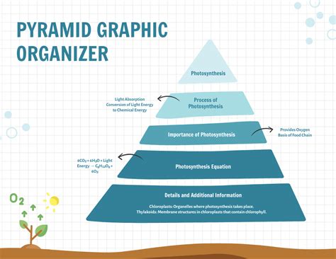 Free Graphic Organizer Templates To Customize Online