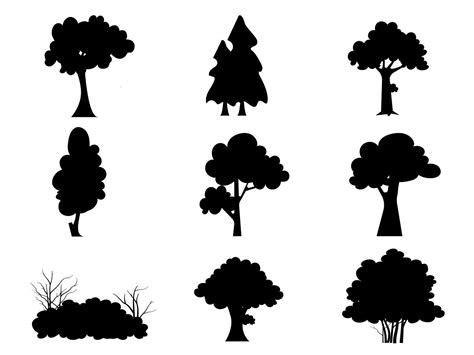Black Branch Tree Or Naked Trees Silhouettes Set Hand Drawn Isolated Illustrations