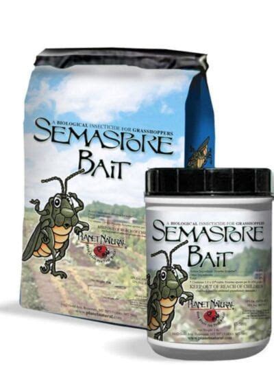 Semaspore Bait Organic Grasshopper Control Planet Natural