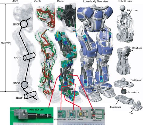 Figure From Design Of Tendon Driven Humanoids Lower Body Equipped