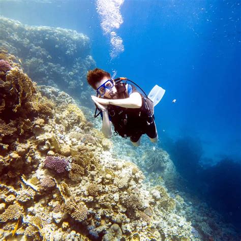 Scuba Diver Kurs Deutsche Tauchschule Hurghada