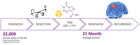 Identifying Genetic Drivers In GBM The Ahmed Lab Northwestern