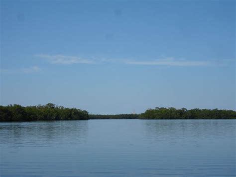 Kayaking Terra Ceia Near Bradenton Florida