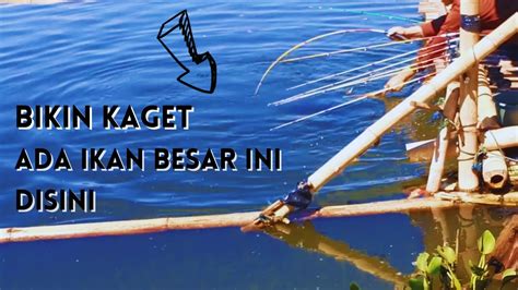 Bikin Kaget Ada Ikan Besar Ini Disini Mancing Saguling Terbaru Youtube