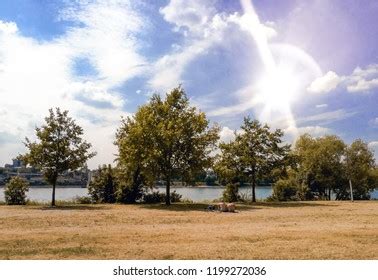 Gay Couple Laying On Grass Field Stock Photo Shutterstock