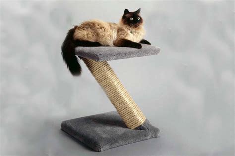 Angled Cat Scratchers