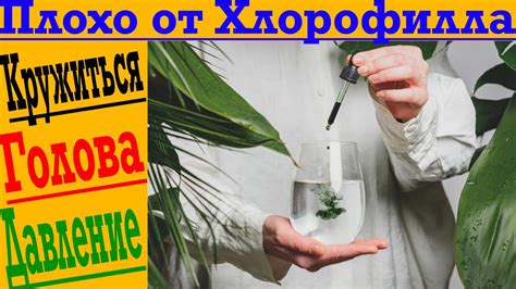 Как правильно пить полезный ХЛОРОФИЛЛ! - YouTube