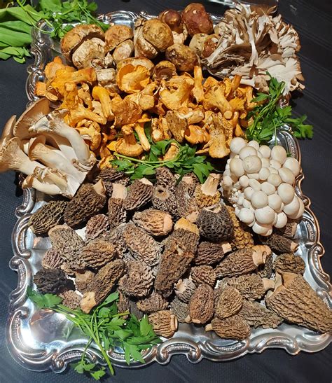 Chefs Are Debating Which Mushroom Distributors Offer The Best Quality - RYZE Superfoods