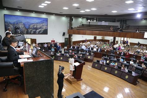 Ni Os Diputados Piden Frenar Tala De Rboles Y Cuidar El Ambiente