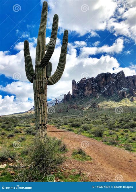 Lost Dutchman State Park Editorial Photography Image Of Arizona