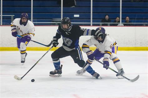 Photos: Lourdes, Dodge County boys hockey on Jan. 9, 2024 - Post ...