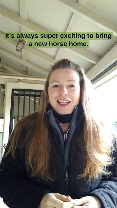Horse Stall Cleaning Tips The Ammonia Smell Artofit