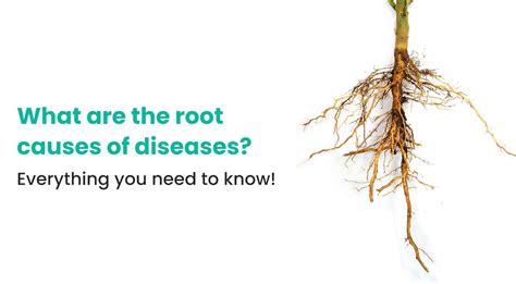 What are the root causes of diseases? Everything you need to know ...