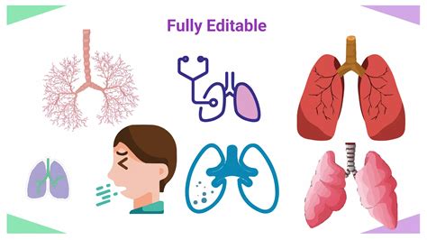 Tuberculosis Pptx