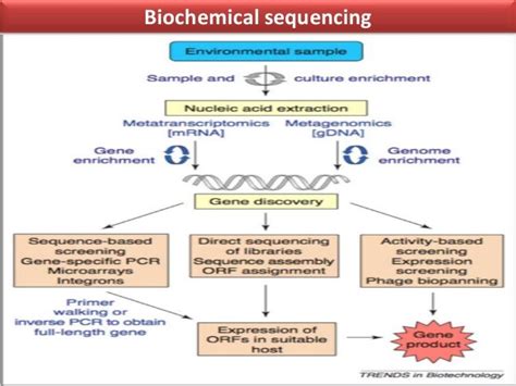 Metagenomics