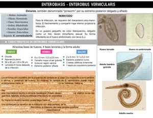 Guia De Parasitologia Gu A De Estudio Guia De Parasitologia