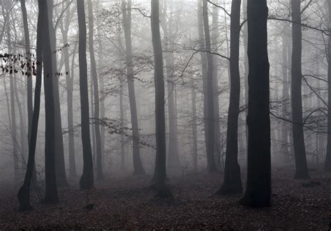 Top 7 ghost tours - TravelManagers