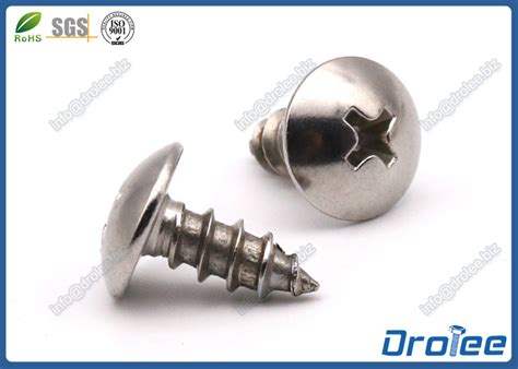 Passivated 410 Stainless Steel Philips Truss Head Sheet Metal Screws