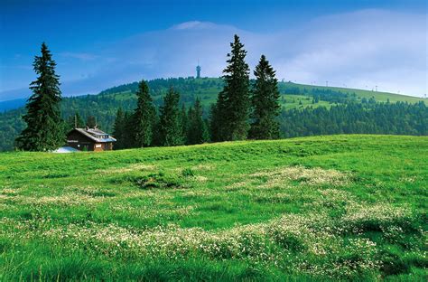 schönsten Wanderwege in Feldberg Schwarzwald