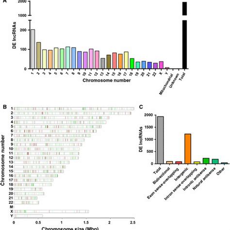 Distribution Location And Classification Of Differentially Expressed