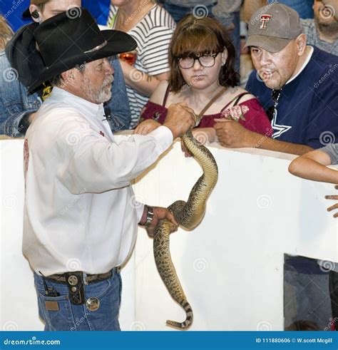 Sweetwater, Texas Rattlesnake Roundup. Editorial Photo - Image of ...