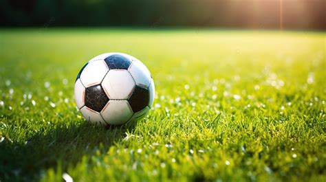 Green Grass Texture Background With Soccer Football Ball Placed In The Corner Of A Soccer Field