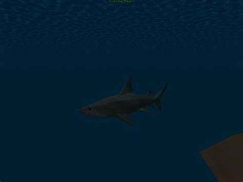 SC-Animal journal- side view- shark by DXCLove on DeviantArt