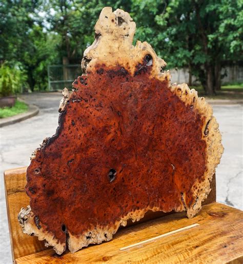 Rare Amboyna Burl Lumber Live Edge Natural Slab Wood Resin Table Top