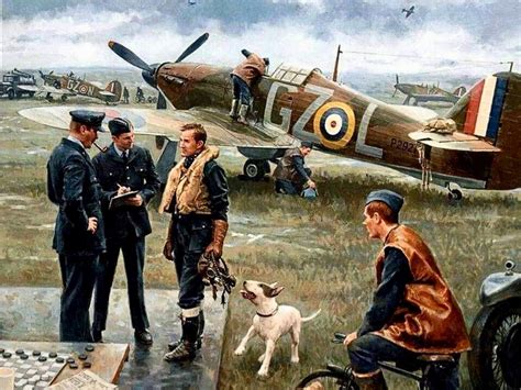 Raf Wwii Battle Of Britain Navy Aircraft Aircraft Art Wwii Aircraft