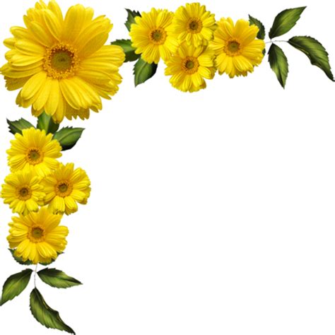 Download High Quality Daisy Clipart Yellow Transparent Png Images Art