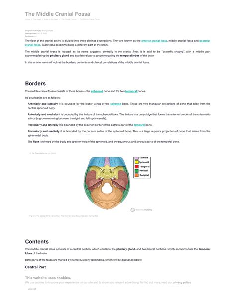 Middle cranial fossa contents boundaries nerves - The Middle Cranial ...