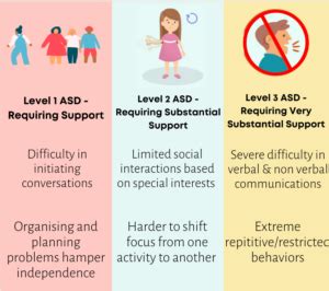 The Three Functional Levels of Autism | Spectacokids