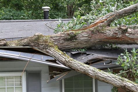 Preventing Winter Storm Damage to Your Home - Rodrian Insurance