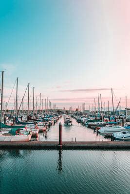 Port of Everett Marina slip, dock, mooring reservations - Dockwa