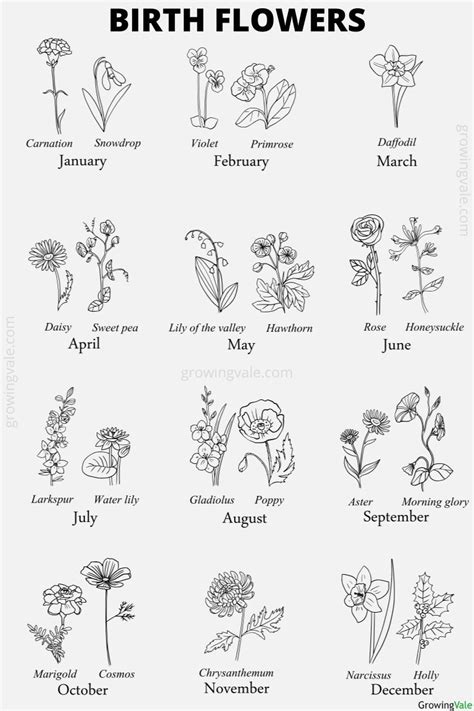 Tatoo Flowers Birth Flower Tattoos Dainty Flower Tattoos Flowers To